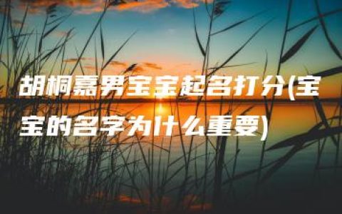 胡桐嘉男宝宝起名打分(宝宝的名字为什么重要)