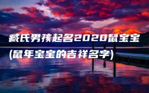 臧氏男孩起名2020鼠宝宝(鼠年宝宝的吉祥名字)