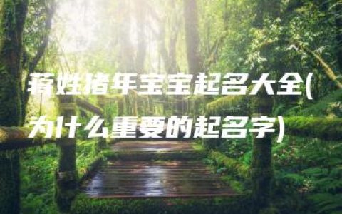 蒋姓猪年宝宝起名大全(为什么重要的起名字)