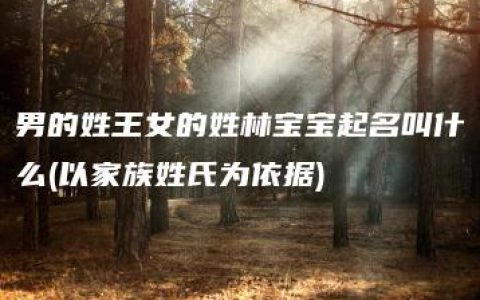 男的姓王女的姓林宝宝起名叫什么(以家族姓氏为依据)