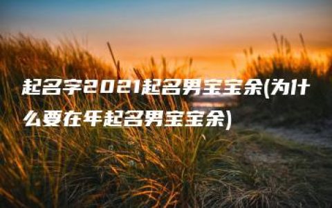 起名字2021起名男宝宝余(为什么要在年起名男宝宝余)