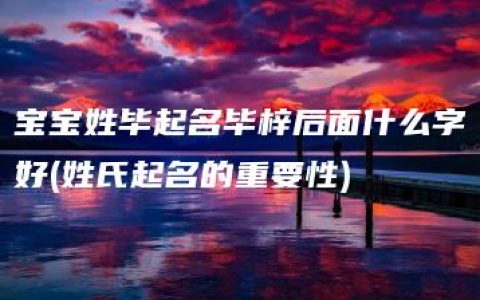 宝宝姓毕起名毕梓后面什么字好(姓氏起名的重要性)