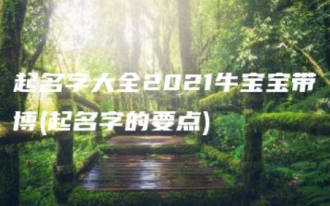 起名字大全2021牛宝宝带博(起名字的要点)