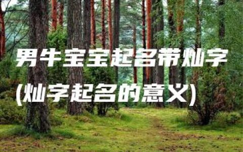 男牛宝宝起名带灿字(灿字起名的意义)