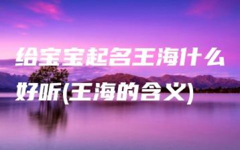 给宝宝起名王海什么好听(王海的含义)