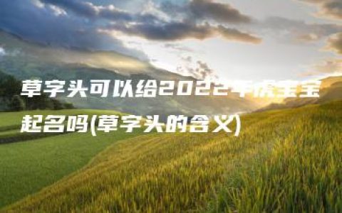 草字头可以给2022年虎宝宝起名吗(草字头的含义)