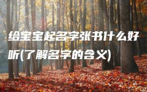 给宝宝起名字张书什么好听(了解名字的含义)