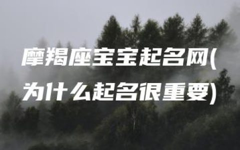 摩羯座宝宝起名网(为什么起名很重要)