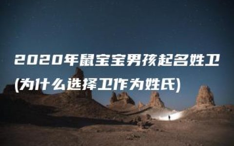 2020年鼠宝宝男孩起名姓卫(为什么选择卫作为姓氏)