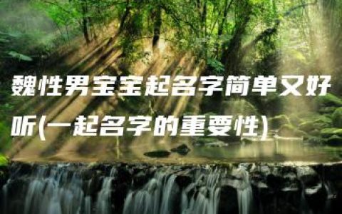 魏性男宝宝起名字简单又好听(一起名字的重要性)