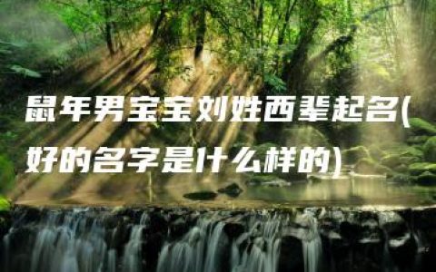 鼠年男宝宝刘姓西辈起名(好的名字是什么样的)