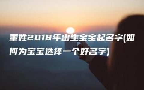 董姓2018年出生宝宝起名字(如何为宝宝选择一个好名字)