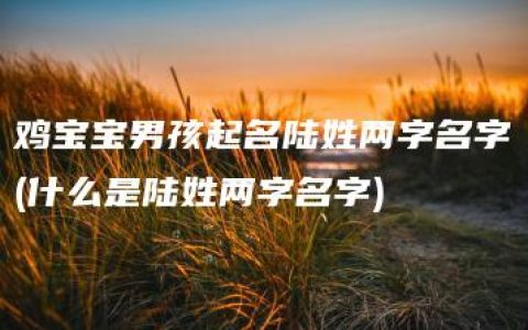 鸡宝宝男孩起名陆姓两字名字(什么是陆姓两字名字)