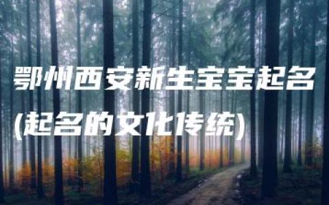 鄂州西安新生宝宝起名(起名的文化传统)