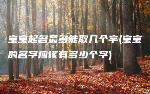 宝宝起名最多能取几个字(宝宝的名字应该有多少个字)