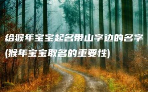 给猴年宝宝起名带山字边的名字(猴年宝宝取名的重要性)