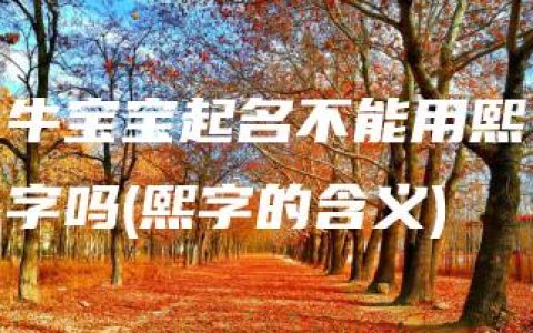 牛宝宝起名不能用熙字吗(熙字的含义)