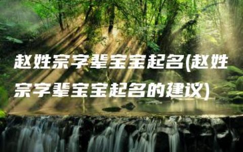 赵姓宗字辈宝宝起名(赵姓宗字辈宝宝起名的建议)