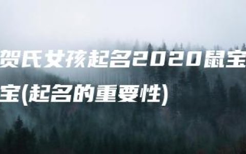 贺氏女孩起名2020鼠宝宝(起名的重要性)