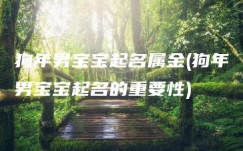 狗年男宝宝起名属金(狗年男宝宝起名的重要性)