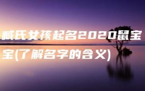 臧氏女孩起名2020鼠宝宝(了解名字的含义)