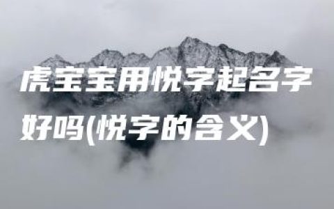 虎宝宝用悦字起名字好吗(悦字的含义)