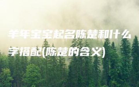 羊年宝宝起名陈楚和什么字搭配(陈楚的含义)