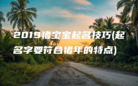 2019猪宝宝起名技巧(起名字要符合猪年的特点)