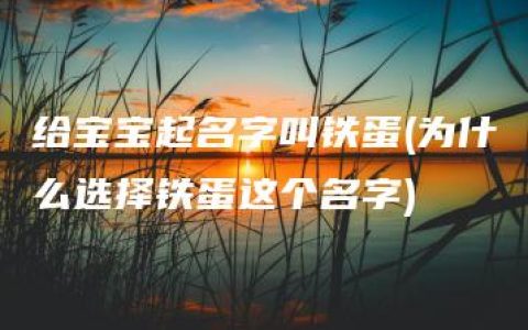 给宝宝起名字叫铁蛋(为什么选择铁蛋这个名字)