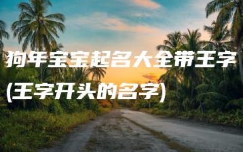 狗年宝宝起名大全带王字(王字开头的名字)