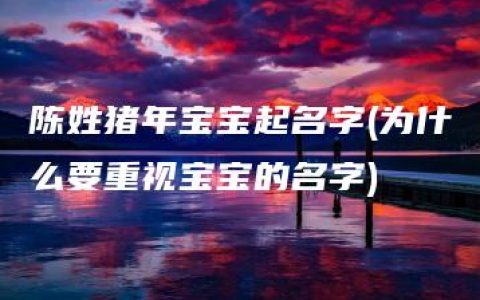 陈姓猪年宝宝起名字(为什么要重视宝宝的名字)