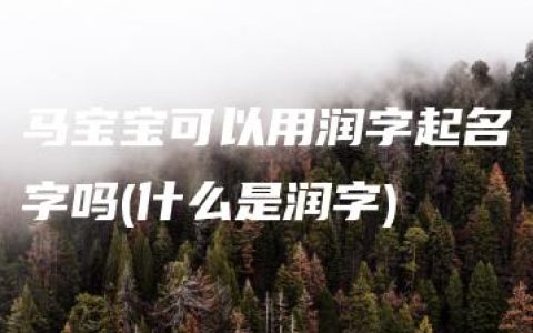 马宝宝可以用润字起名字吗(什么是润字)