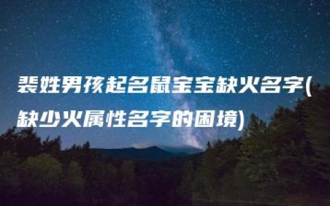 裴姓男孩起名鼠宝宝缺火名字(缺少火属性名字的困境)