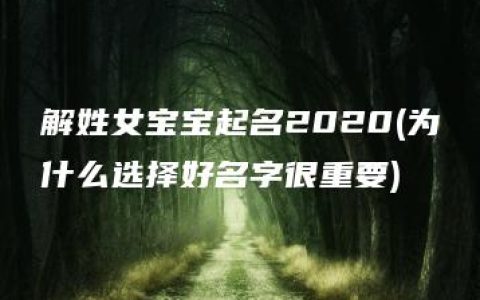 解姓女宝宝起名2020(为什么选择好名字很重要)