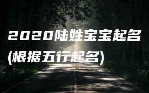 2020陆姓宝宝起名(根据五行起名)