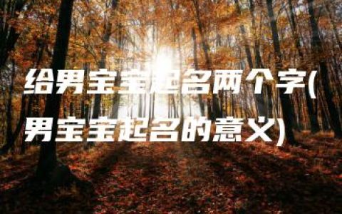 给男宝宝起名两个字(男宝宝起名的意义)