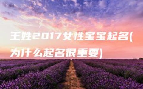 王姓2017女性宝宝起名(为什么起名很重要)