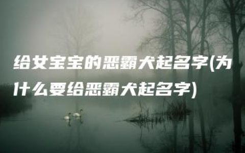 给女宝宝的恶霸犬起名字(为什么要给恶霸犬起名字)