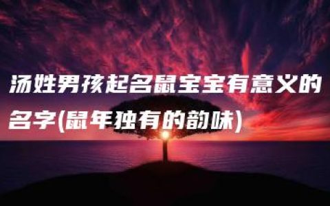 汤姓男孩起名鼠宝宝有意义的名字(鼠年独有的韵味)