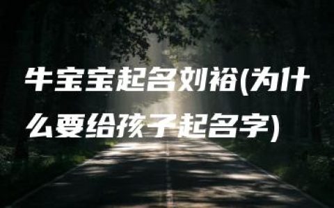 牛宝宝起名刘裕(为什么要给孩子起名字)