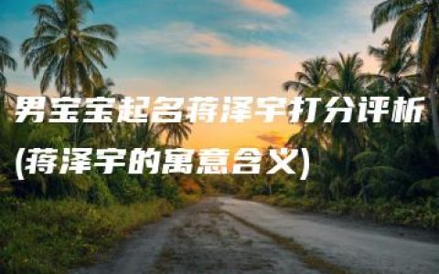 男宝宝起名蒋泽宇打分评析(蒋泽宇的寓意含义)