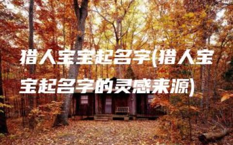 猎人宝宝起名字(猎人宝宝起名字的灵感来源)