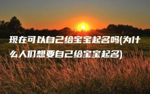 现在可以自己给宝宝起名吗(为什么人们想要自己给宝宝起名)