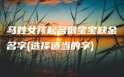 马姓女孩起名鼠宝宝缺金名字(选择适当的字)