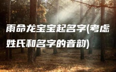 雨命龙宝宝起名字(考虑姓氏和名字的音韵)