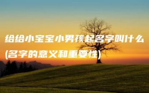 给给小宝宝小男孩起名字叫什么(名字的意义和重要性)