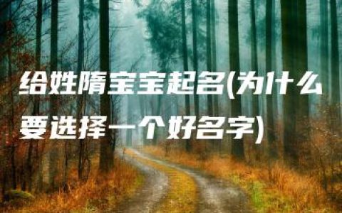 给姓隋宝宝起名(为什么要选择一个好名字)