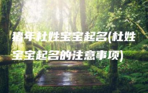 猪年杜姓宝宝起名(杜姓宝宝起名的注意事项)