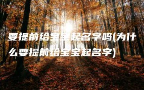 要提前给宝宝起名字吗(为什么要提前给宝宝起名字)