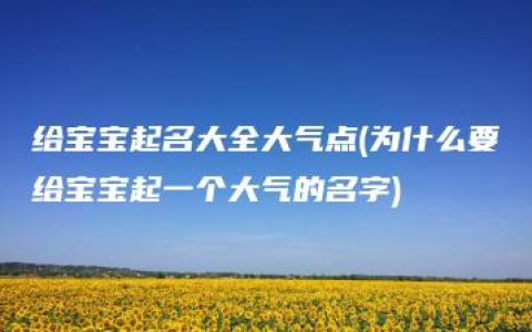 给宝宝起名大全大气点(为什么要给宝宝起一个大气的名字)